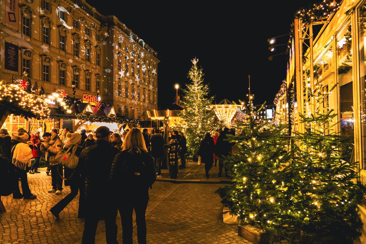 Stockfoto, niet van Bosch Winters Paradepaardje