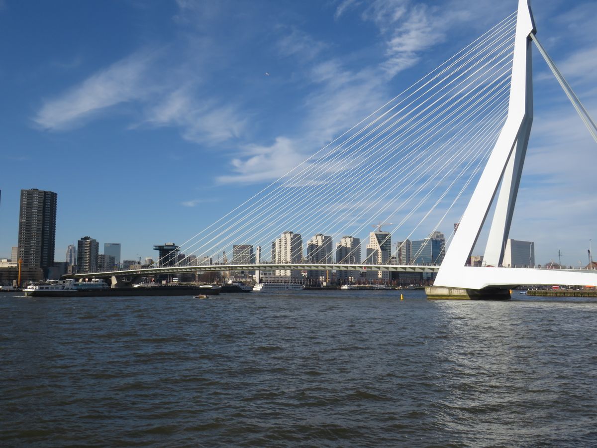 De Erasmusbrug en de skyline van Rotterdam
